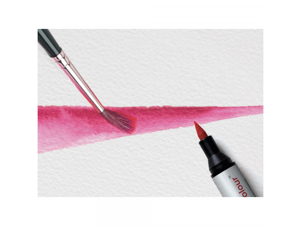 Zestaw Promarker Watercolor - Winsor & Newton - Basic, 12 szt.