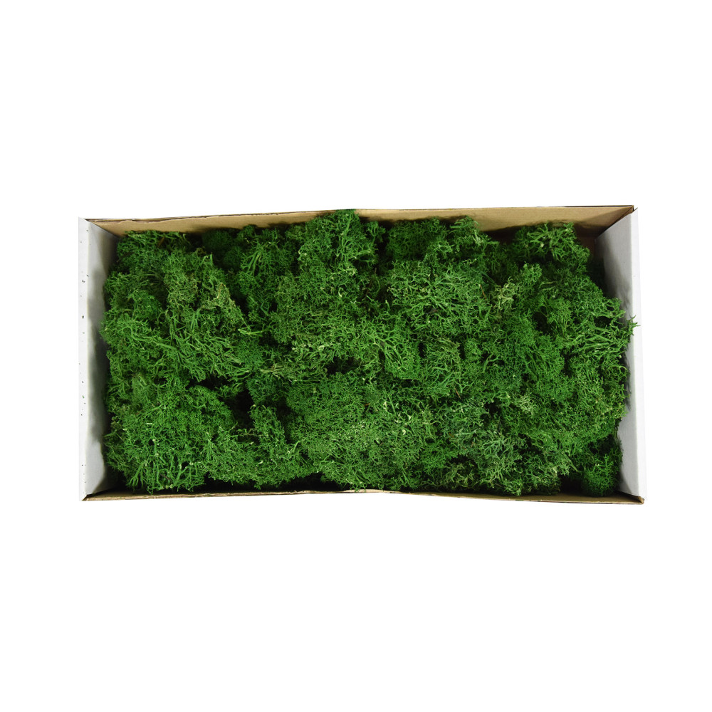 Mech chrobotek reniferowy - zielony, 300 g
