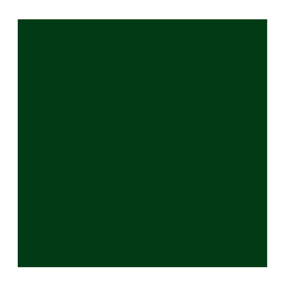 Farba olejna - Rembrandt - Green Earth, 40 ml