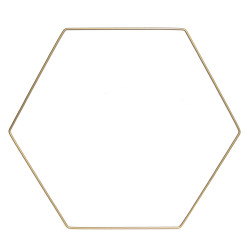 Metal hexagon hoop - gold,...