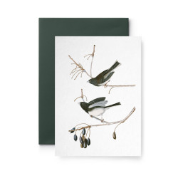 Kartka okolicznościowa - Suska & Kabsch - Zimowe ptaki na gałęzi, 15,6 x 10,8 cm