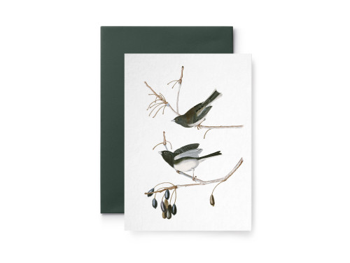 Greeting card - Suska & Kabsch - Winter birds on the branch, 15,6 x 10,8 cm