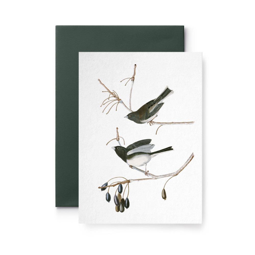 Greeting card - Suska & Kabsch - Winter birds on the branch, 15,6 x 10,8 cm