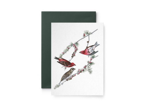 Greeting card - Suska & Kabsch - Winter red Birds, 15,6 x 10,8 cm
