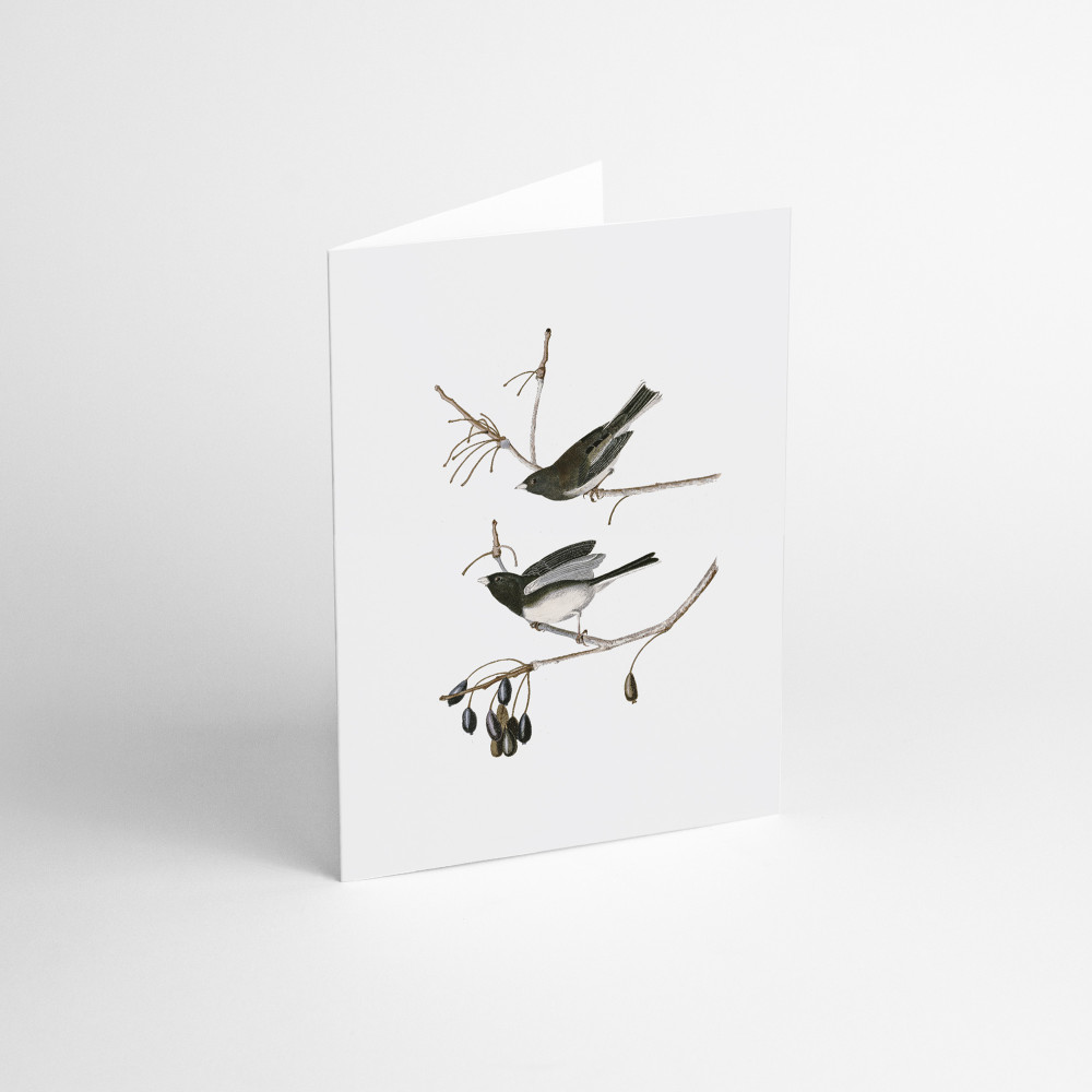 Greeting card - Suska & Kabsch - Winter birds on the branch, 15,6 x 10,8 cm