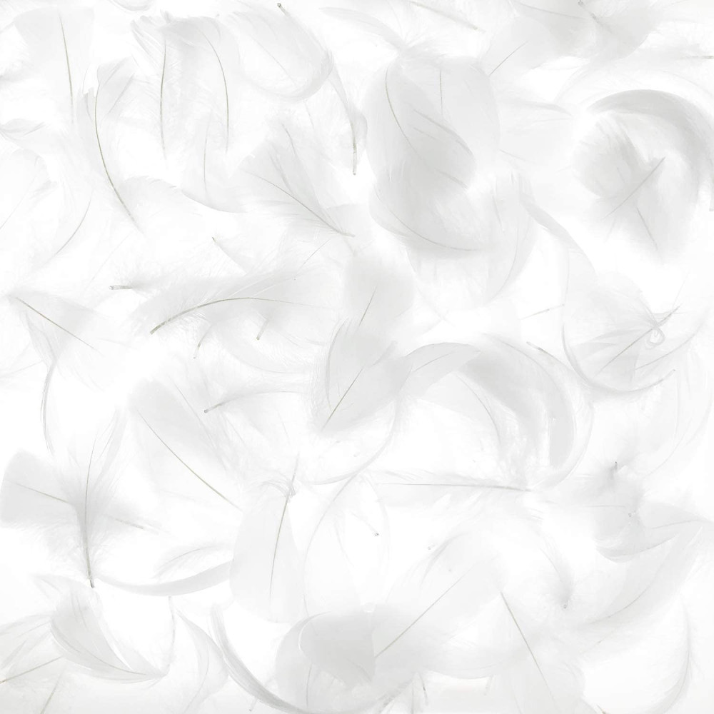 Decorative feathers - white, 12 cm, 50 pcs