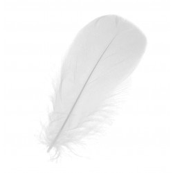Decorative feathers - white, 12 cm, 50 pcs
