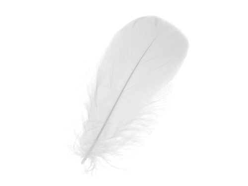 Piórka dekoracyjne, ozdobne - białe, 12 cm, 50 szt.