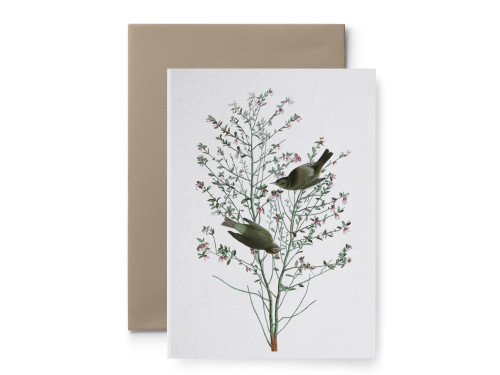 Greeting card - Suska & Kabsch - Audubon IV, 15,6 x 10,8 cm