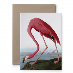 Kartka okolicznościowa - Suska & Kabsch - Flaming, 15,4 x 10,8 cm