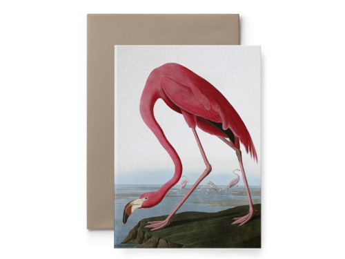 Greeting card - Suska & Kabsch - Audubon III, 15,4 x 10,8 cm