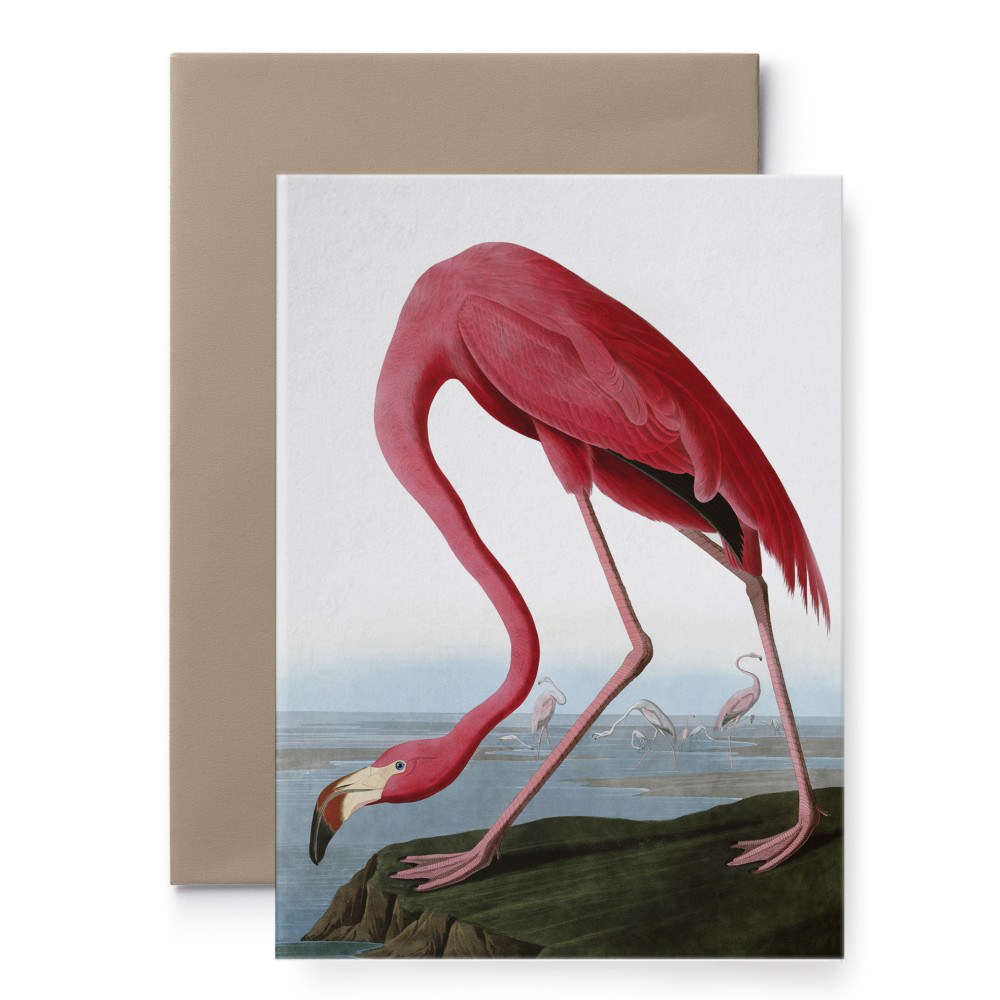 Greeting card - Suska & Kabsch - Audubon III, 15,4 x 10,8 cm