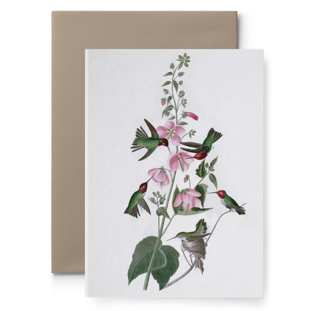 Kartka okolicznościowa - Suska & Kabsch - Kolibry, 15,6 x 10,8 cm