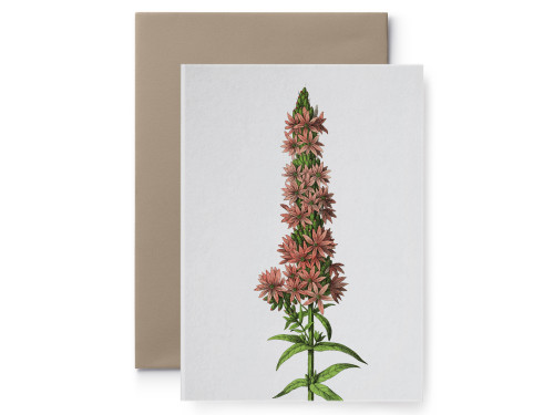 Greeting card - Suska & Kabsch - Flower III, 15,6 x 10,8 cm