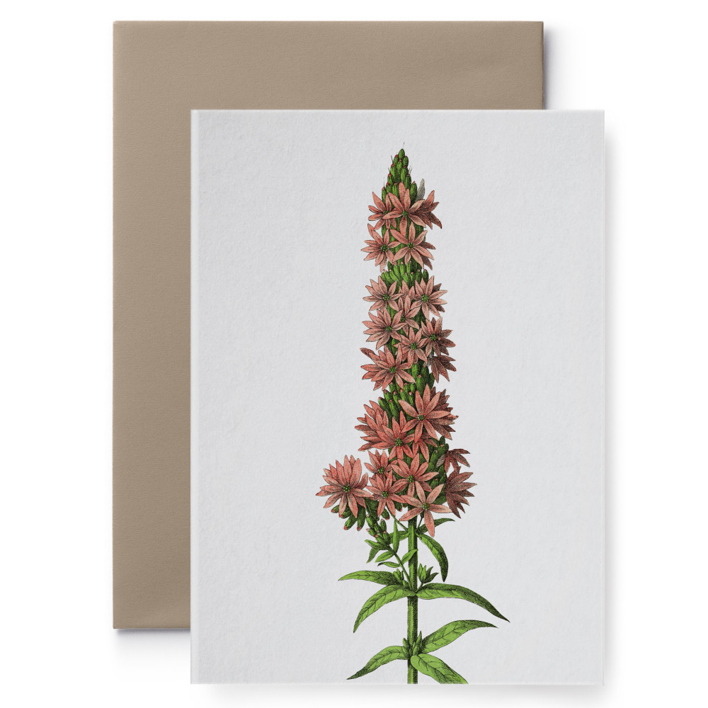 Kartka okolicznościowa - Suska & Kabsch - Czerwony kwiat, 15,6 x 10,8 cm