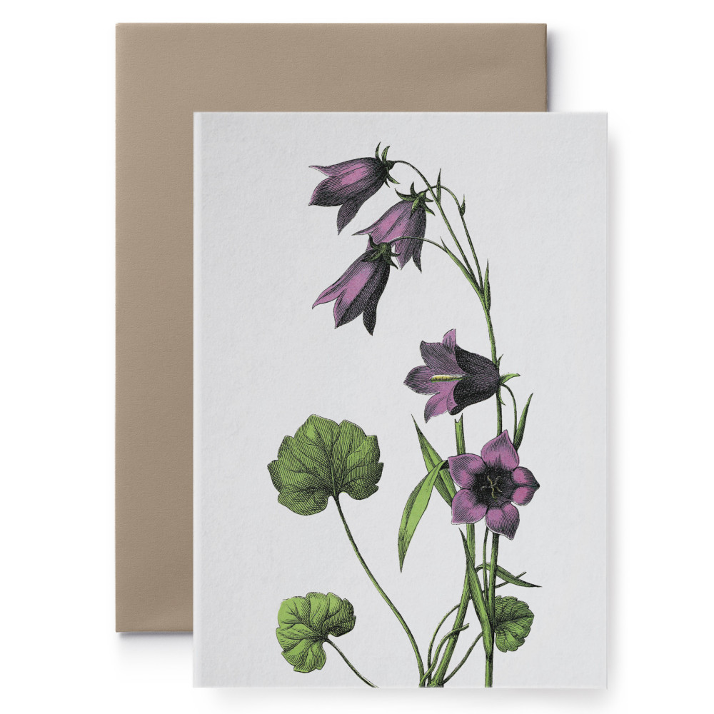 Kartka okolicznościowa - Suska & Kabsch - Fioletowy kwiat, 15,6 x 10,8 cm