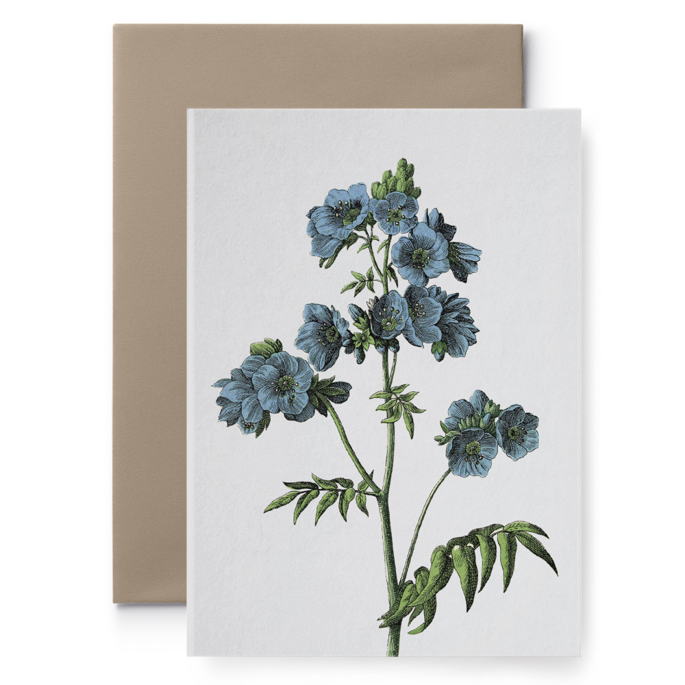 Greeting card - Suska & Kabsch - Flower, 15,6 x 10,8 cm