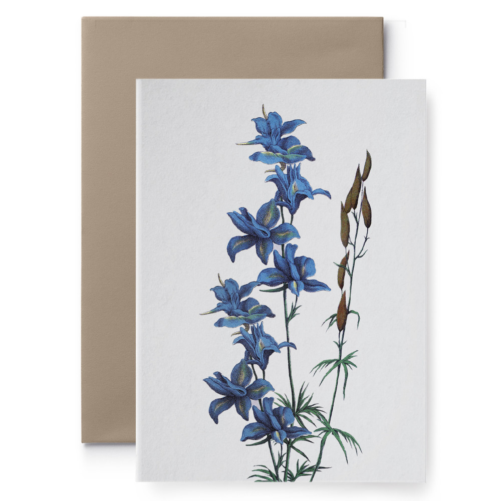 Kartka okolicznościowa - Suska & Kabsch - Egzotyczny kwiat, 15,6 x 10,8 cm