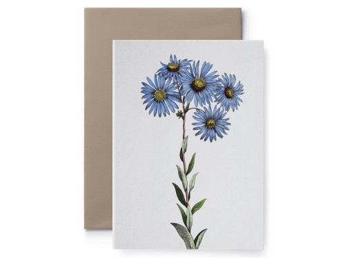 Greeting card - Suska & Kabsch - Flower V, 15,6 x 10,8 cm