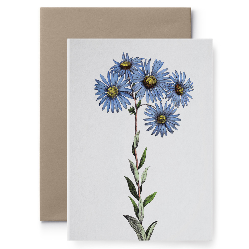 Greeting card - Suska & Kabsch - Flower V, 15,6 x 10,8 cm