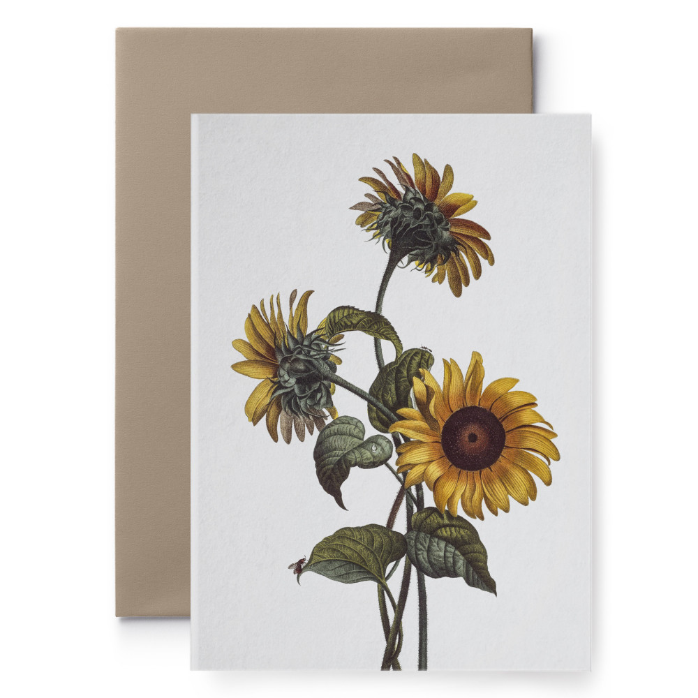 Greeting card - Suska & Kabsch - Flower II, 15,6 x 10,8 cm