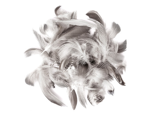 Decorative duck feathers - DpCraft - natural, 5 g