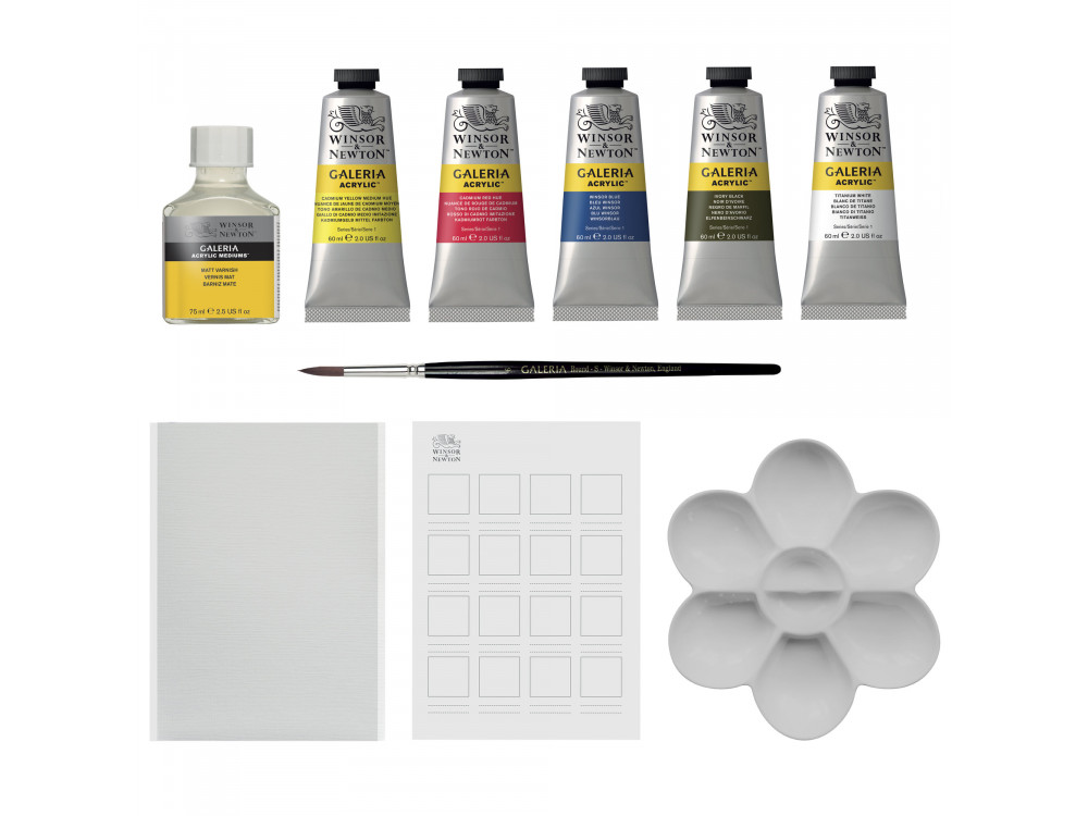 Zestaw farb akrylowych Galeria Introductory Gift Collection - Winsor & Newton - 10 szt.