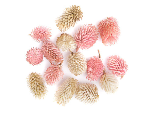 Exotic dried fruits - DpCraft - 14 pcs.