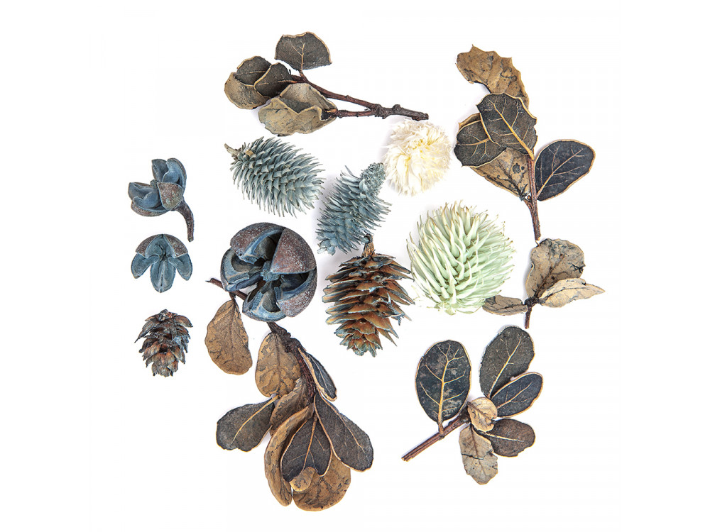 Exotic dried fruits and leaves - DpCraft - 14 pcs.