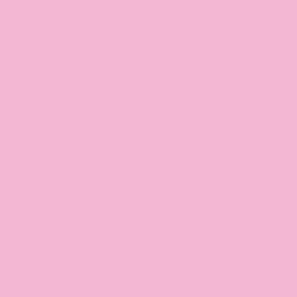 Promarker - Winsor & Newton - Pink Carnation
