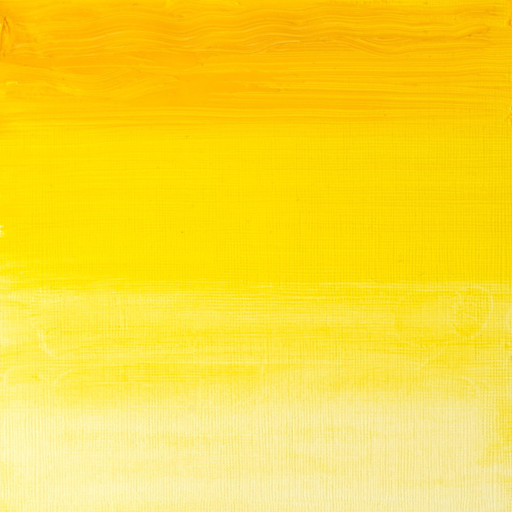 Oil paint Artists' Oil Colour - Winsor & Newton - Transparent Yellow, 37 ml