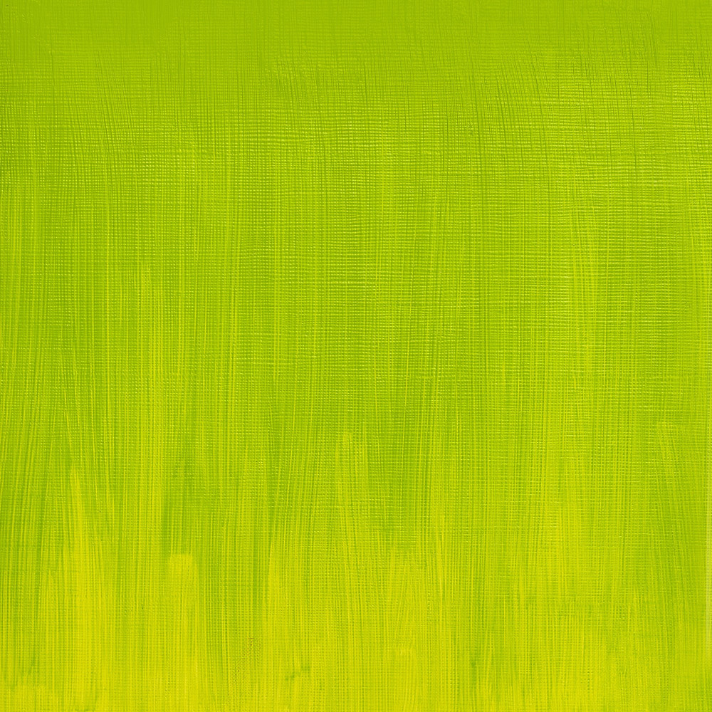 Oil paint Artists' Oil Colour - Winsor & Newton - Cadmium Free Green Pale, 37 ml
