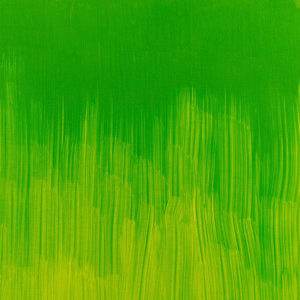Oil paint Winton Oil Colour - Winsor & Newton - Phthalo Yellow Green, 200 ml