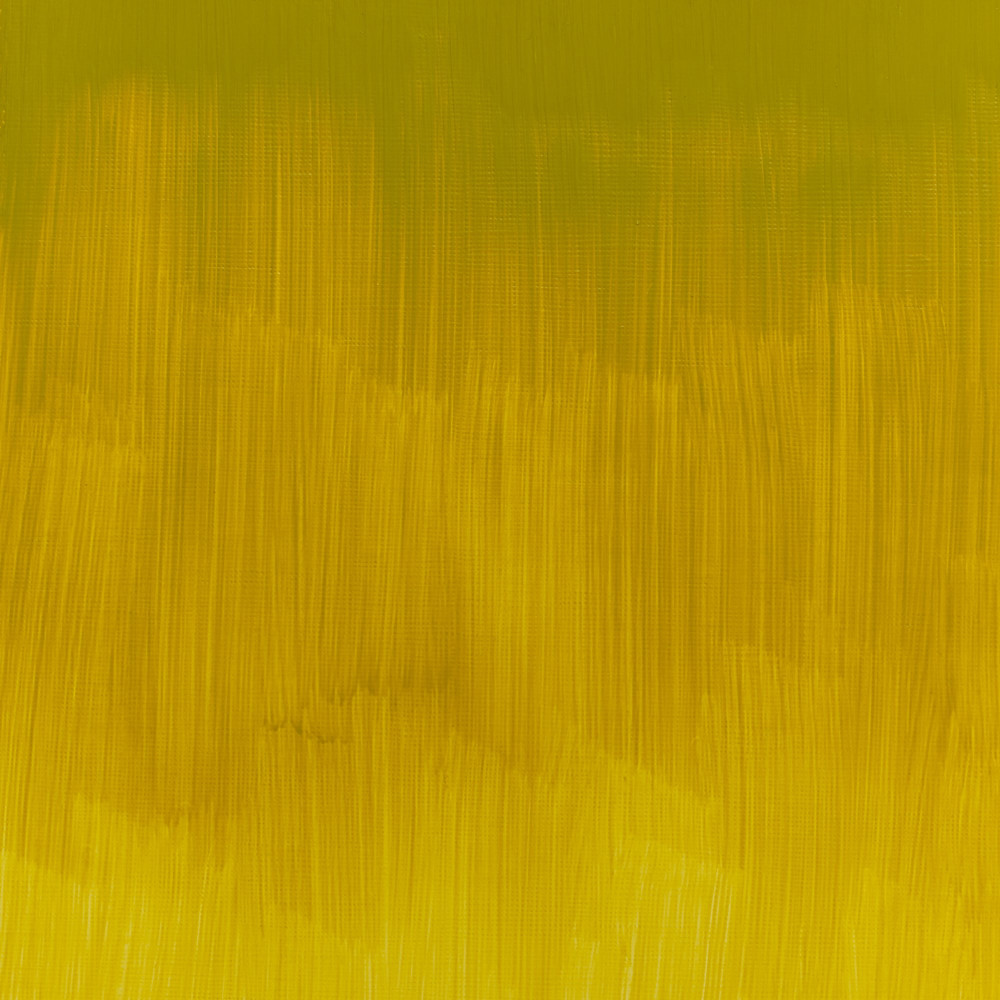 Oil paint Winton Oil Colour - Winsor & Newton - Azo Yellow Green, 200 ml
