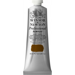 Farba akrylowa Professional Acrylic - Winsor & Newton - Burnt Umber, 60 ml