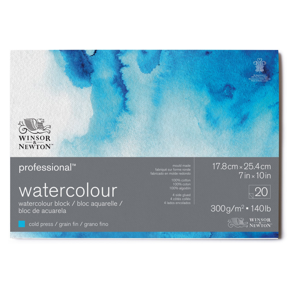 Watercolor Professional paper pad - Winsor & Newton - cold press, 18 x 25 cm, 300g, 20 sheets