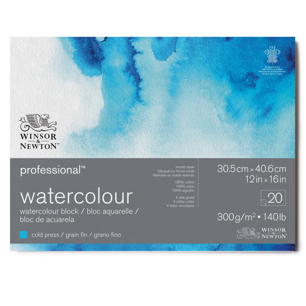 Watercolor Professional paper pad - Winsor & Newton - cold press, 31 x 41 cm, 300g, 20 sheets