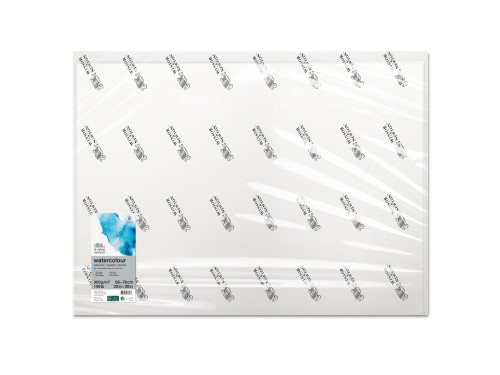Paper for watercolors - Winsor & Newton - cold press, 56 x 76 cm, 300g, 10 sheets