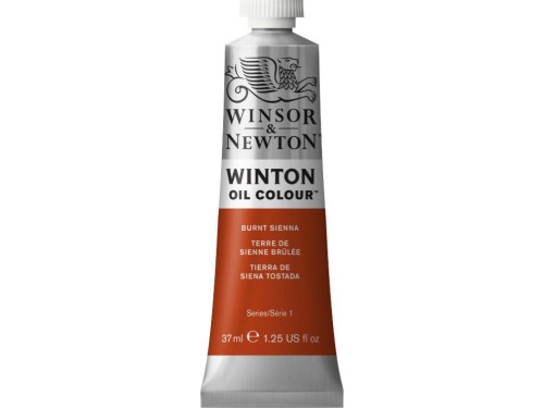 Oil paint Winton Oil Colour - Winsor & Newton - Burnt Sienna, 37 ml