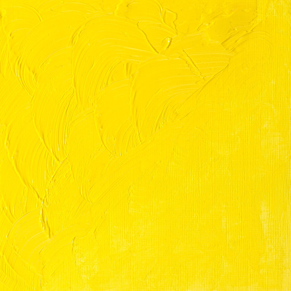 Oil paint Winton Oil Colour - Winsor & Newton - Cadmium Lemon Hue, 37 ml
