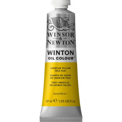 Oil paint Winton Oil Colour - Winsor & Newton - Cadmium Yellow Pale, 37 ml