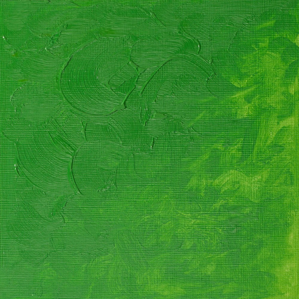 Oil paint Winton Oil Colour - Winsor & Newton - Permanent Green Light, 37 ml