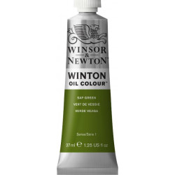 Oil paint Winton Oil Colour - Winsor & Newton - Sap Green, 37 ml