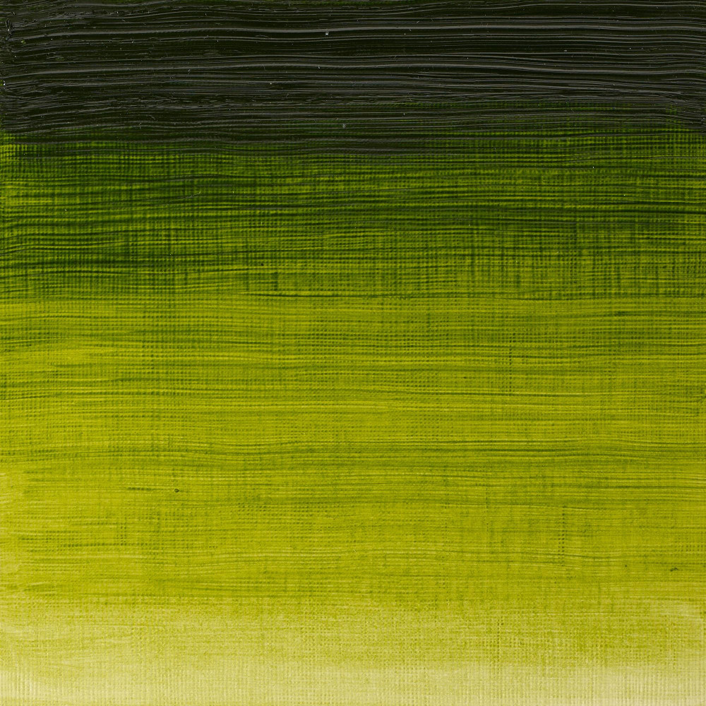 Farba olejna Winton Oil Colour - Winsor & Newton - Sap Green, 37 ml