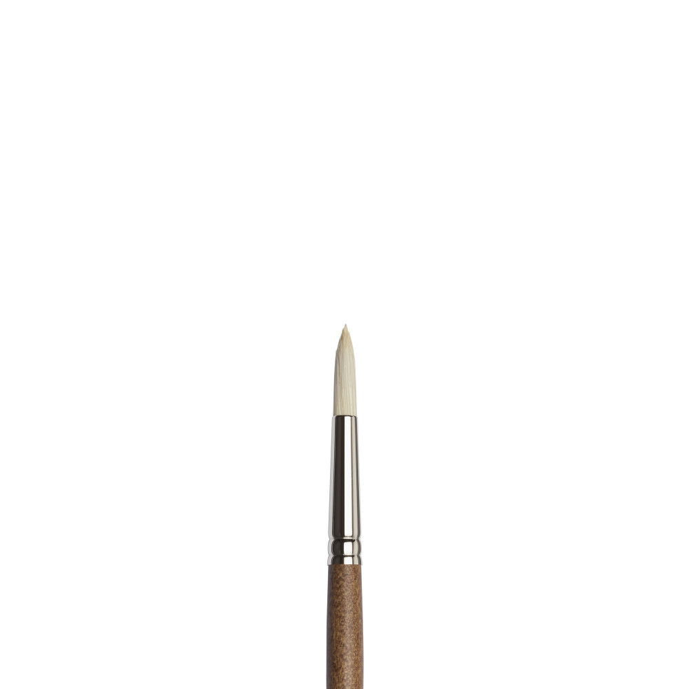 Artists' Oil synthetic brush, round - Winsor & Newton - no. 6