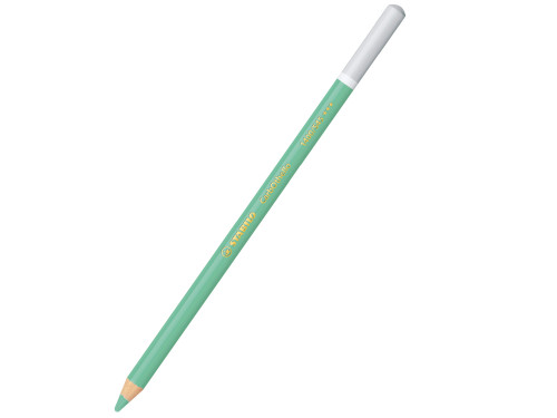 Dry pastel pencil CarbOthello - Stabilo - 545, light green