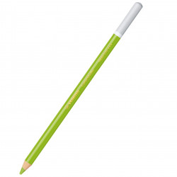 Dry pastel pencil CarbOthello - Stabilo - 570, medium leaf green