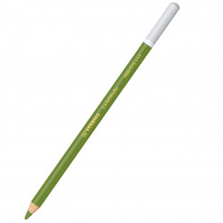 Dry pastel pencil CarbOthello - Stabilo - 575, leaf green