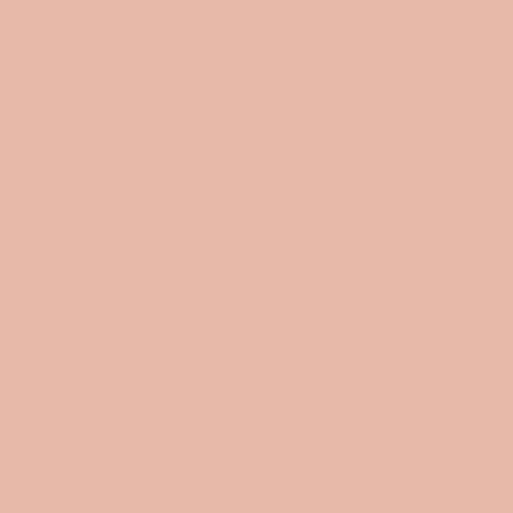 Promarker - Winsor & Newton - Muted Pink