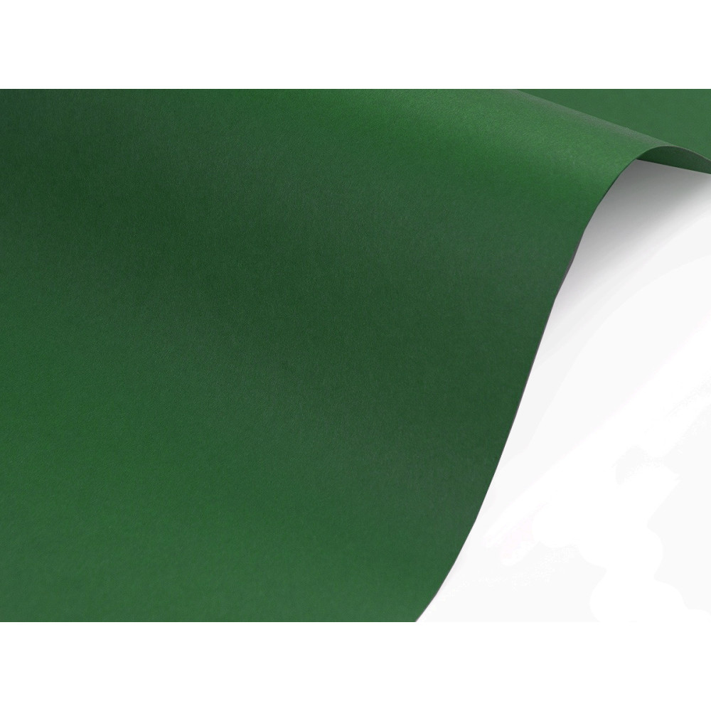 Papier Sirio Color 210g - Foglia, zielony, A5, 20 ark.